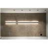 Delta Light Femtoline W Down-Up 600 applique