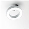 Delta Light SUPER-OH! XS PIVOT 25 DIM8 Deckenlampe