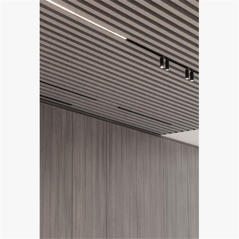 Delta Light M - Inform L867 MDL Deckenlampe