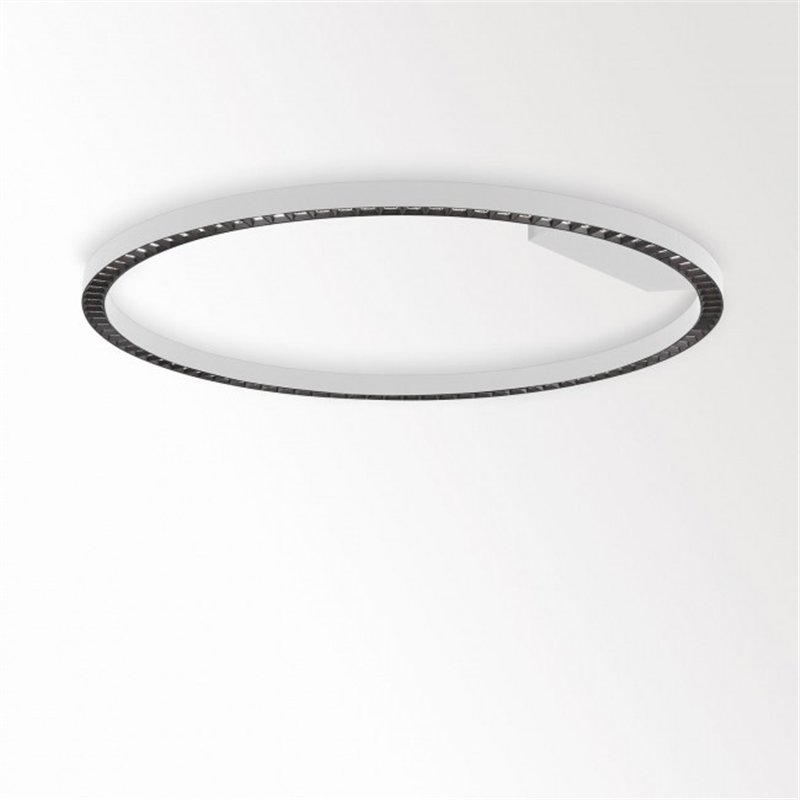 Delta Light INFORM R1+ DOWN DIM5 Ceiling lamp
