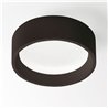 Delta Light DIRO SBL L ON Lampe de plafond