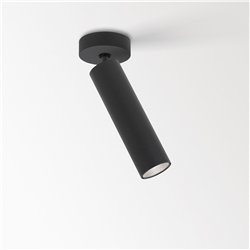 Delta Light SPY 39 L ON Ceiling lamp