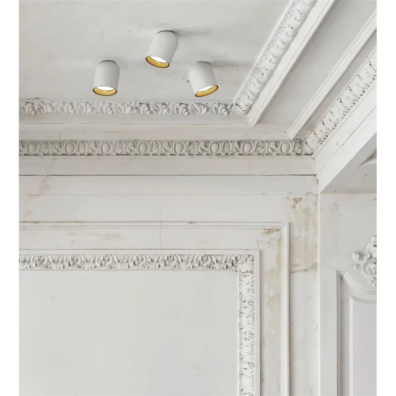 Delta Light OBIN ON 2 DIM8 Plafonnier