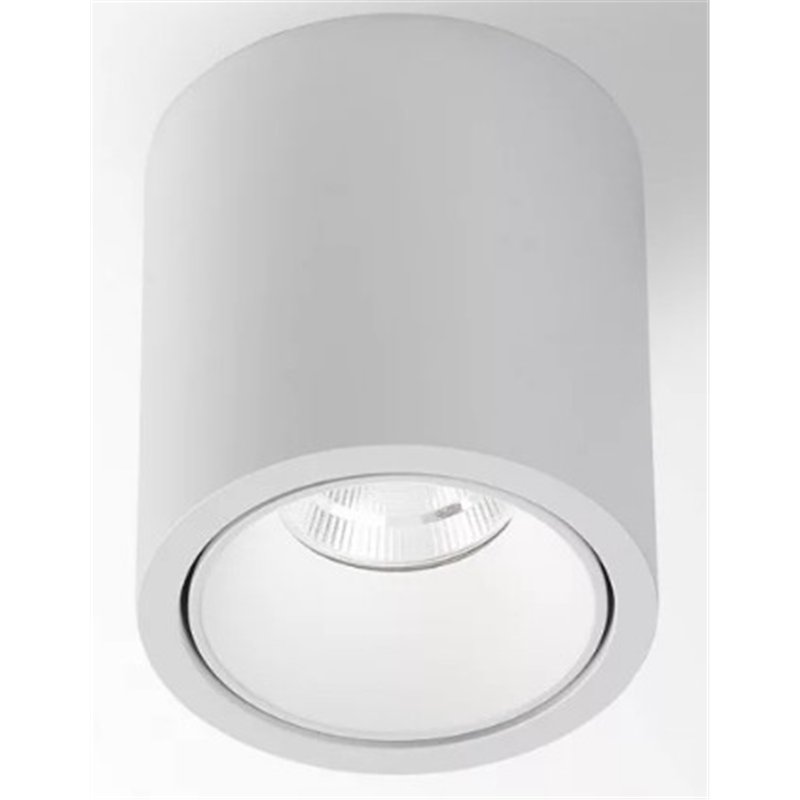 Delta Light R HE Plafonnier