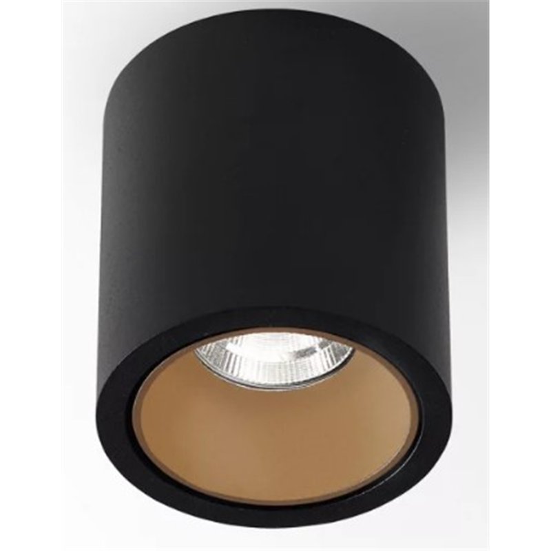 Delta Light R HE Plafondlamp