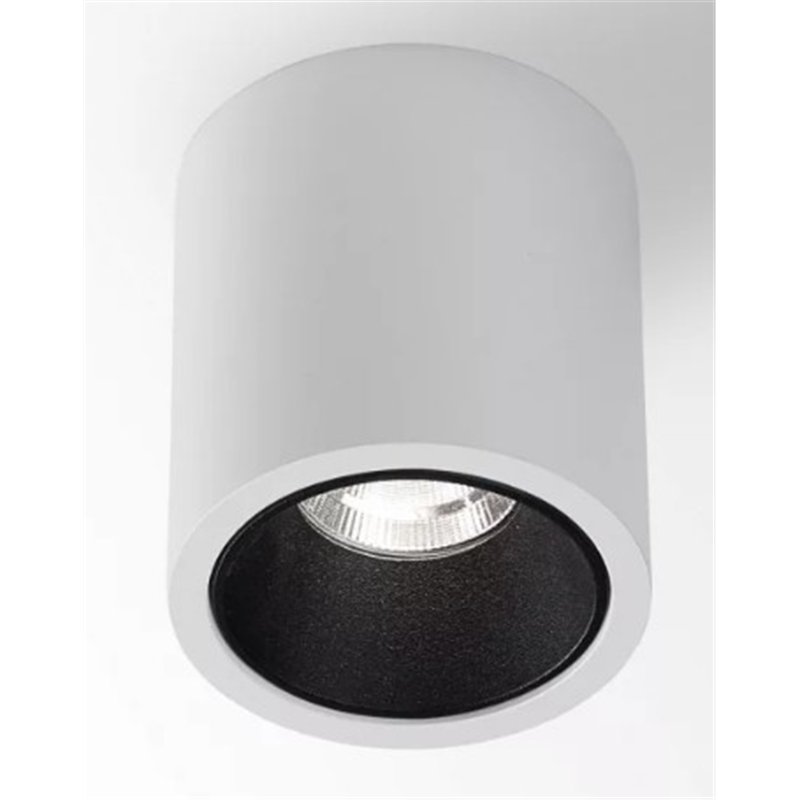 Delta Light R HE Plafondlamp