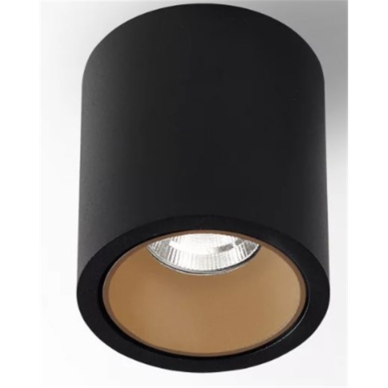 Delta Light R HE Plafondlamp