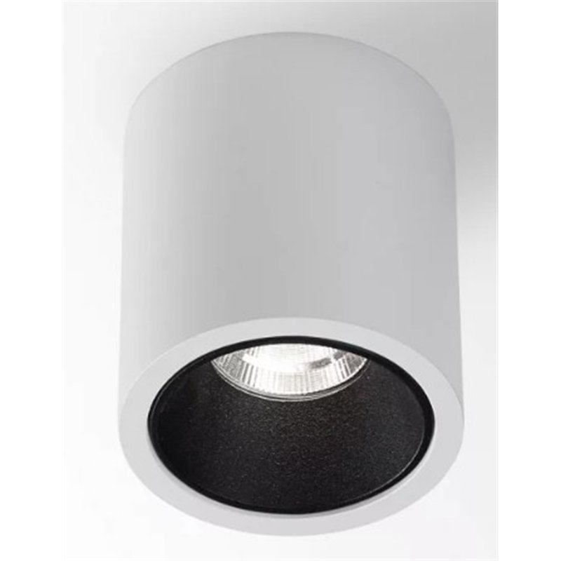 Delta Light R HE Plafondlamp