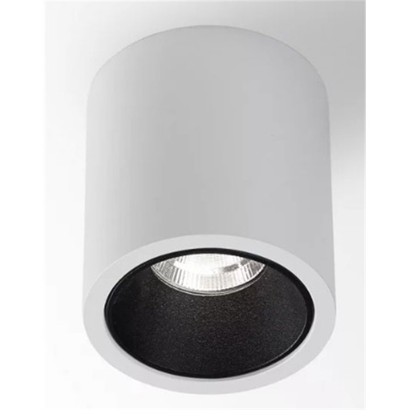 Delta Light R HE Plafonnier