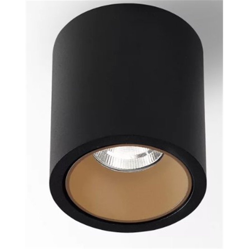 Delta Light R HE Ceiling lamp