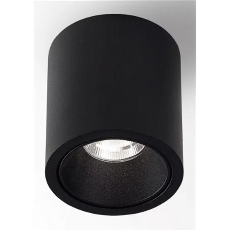 Delta Light R HE Plafondlamp