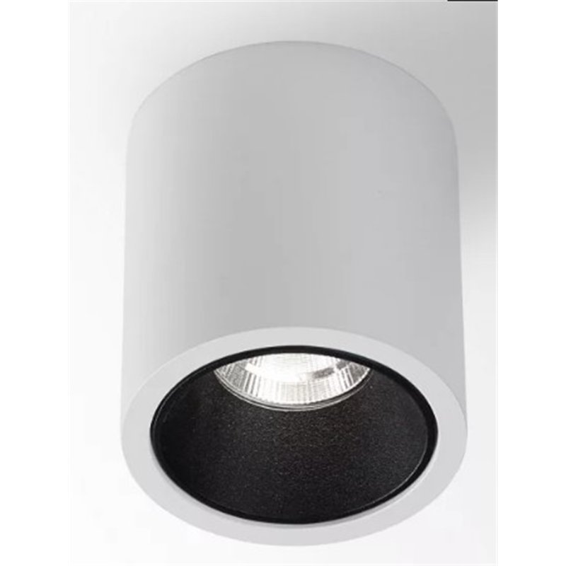 Delta Light R HE Plafonnier