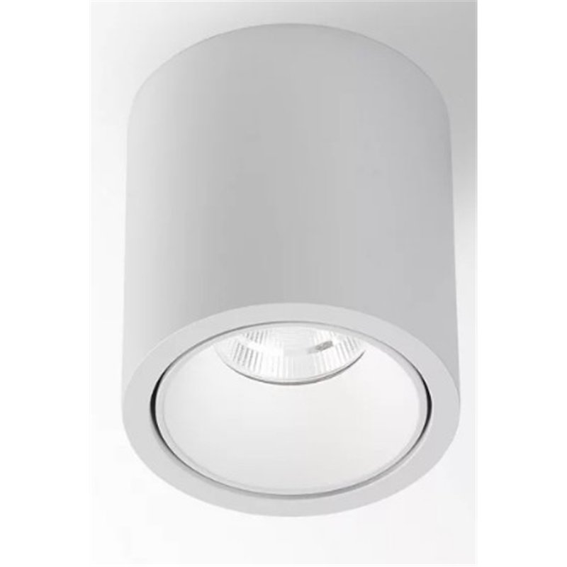 Delta Light R HE Plafondlamp