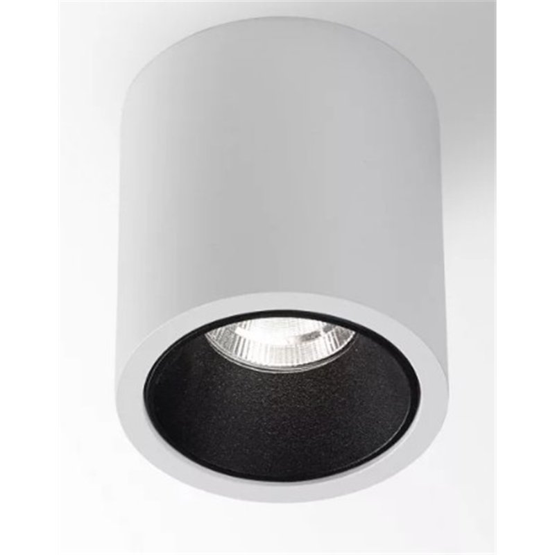 Delta Light R HE Plafondlamp