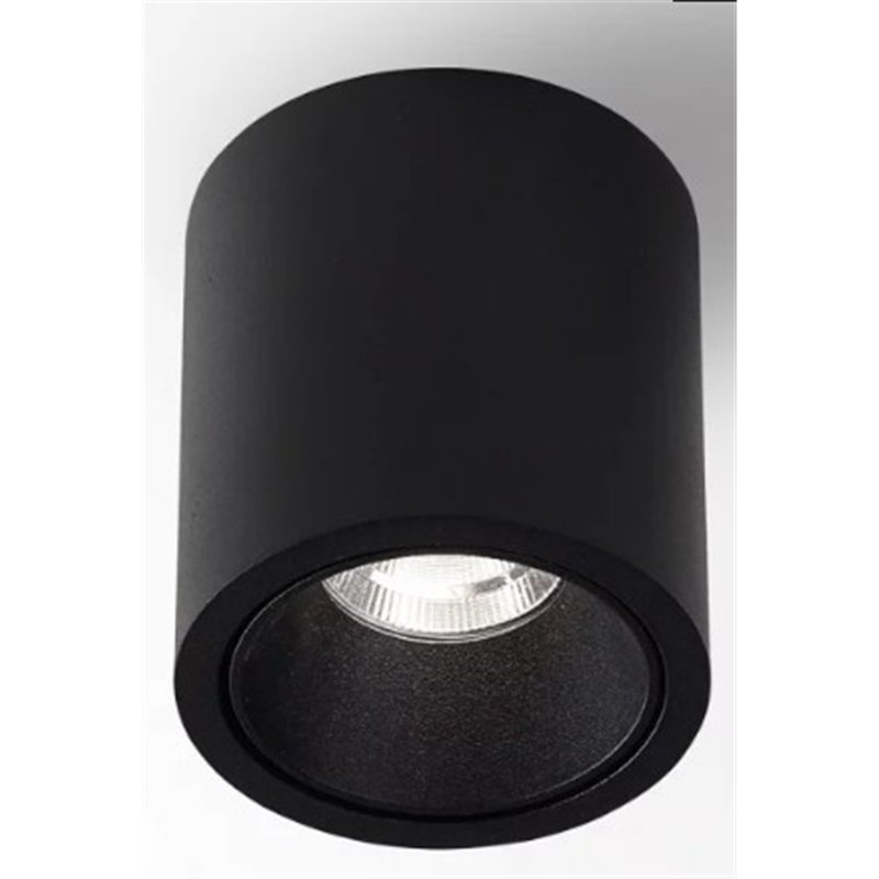 Delta Light R HE Plafonnier