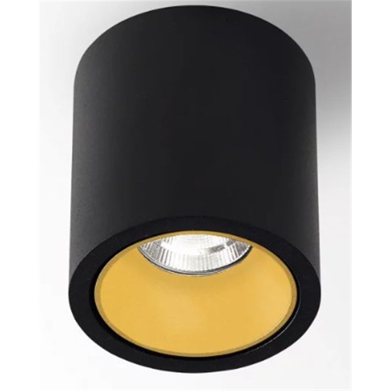 Delta Light R HE Ceiling lamp