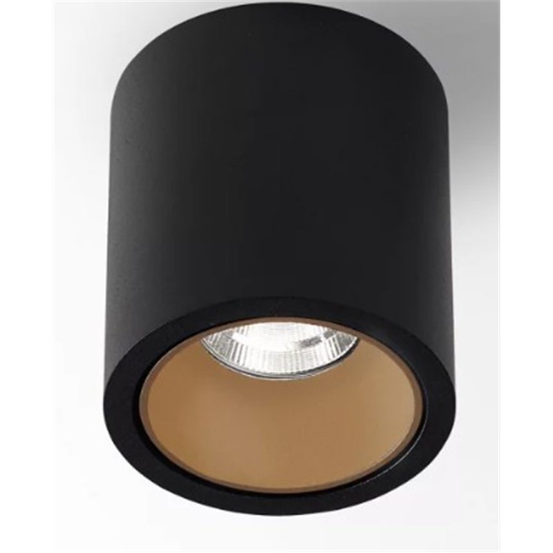 Delta Light R HE Plafondlamp