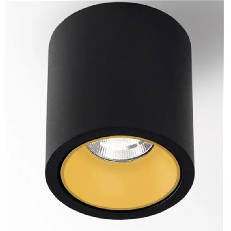 Delta Light R HE Plafondlamp