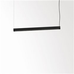 Delta Light CONFORM P14 DOWN-UP DIM4 Lampe suspendue