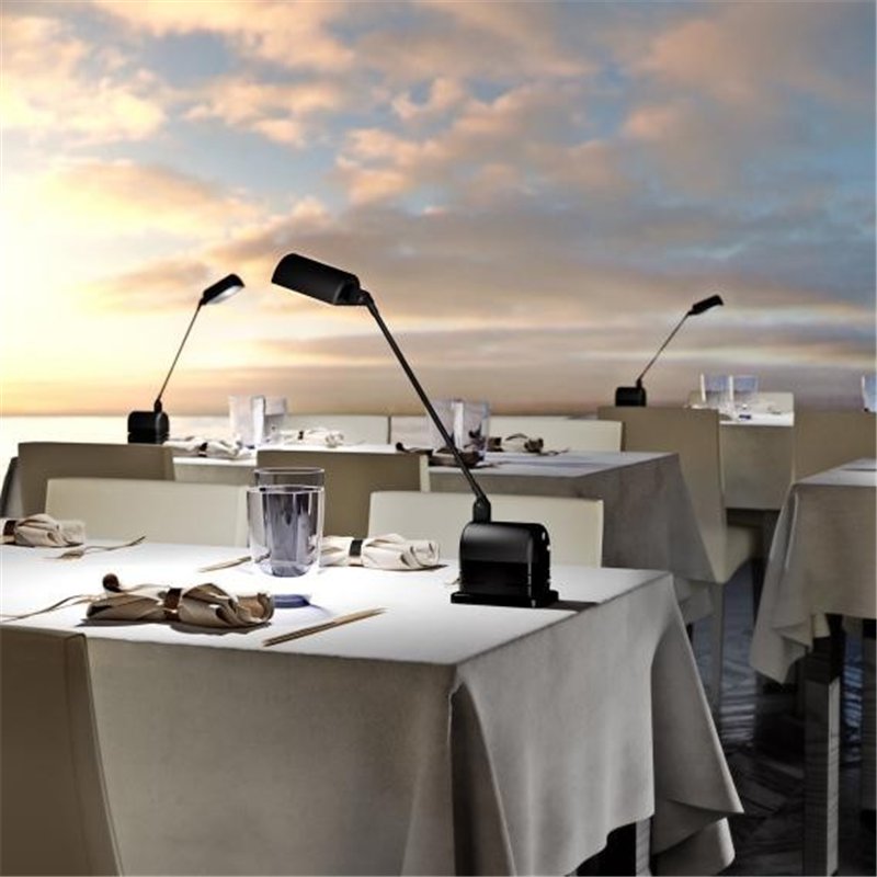 Lumina Daphinette Portatile Table lamp