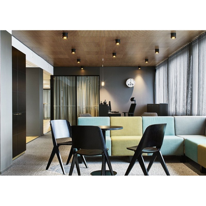 Wever & Ducré Ray 1.0 PAR16 Deckenlampe