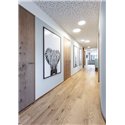 Wever & Ducré Roby IP44 3.5 Plafondlamp