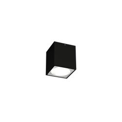 Wever & Ducré Train Outdoor 1.0 Plafondlamp