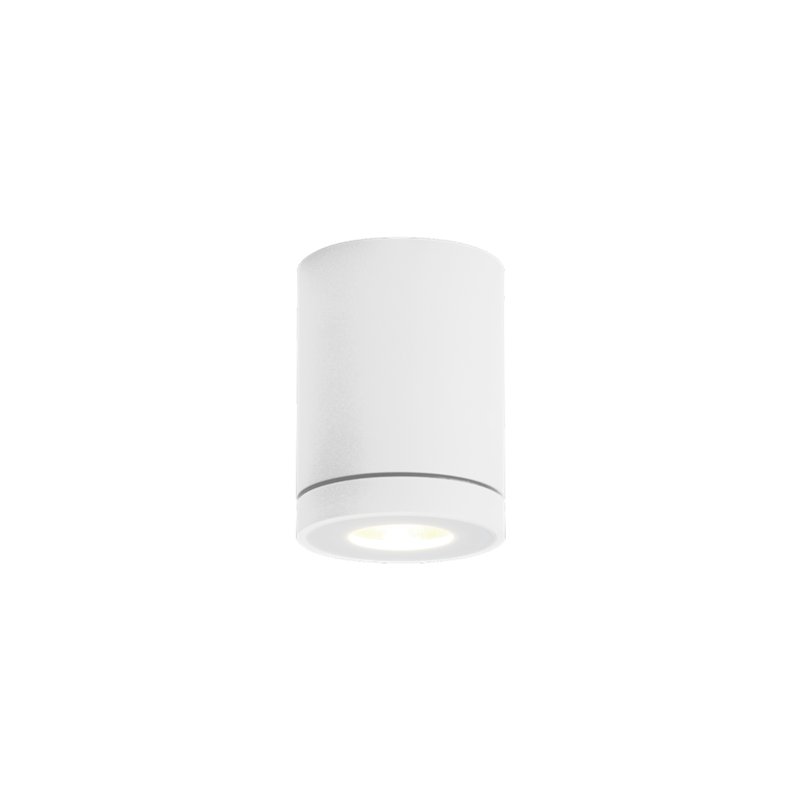 Wever & Ducré Tube 1.0 LED Plafondlamp