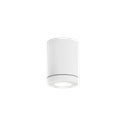 Wever & Ducré Tube 1.0 PAR16 Plafondlamp