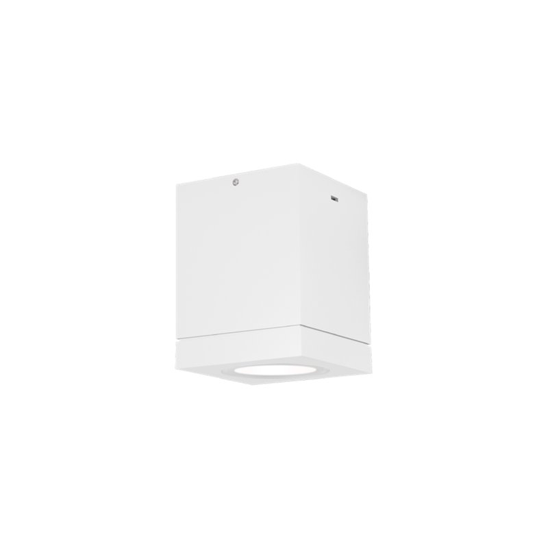 Wever & Ducré Tube Carré 1.0 LED Ceiling lamp