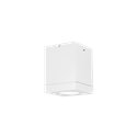 Wever & Ducré Tube Carré 1.0 PAR16 Plafondlamp