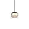Wever & Ducré Wetro 1.0 Suspension lamp