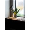 Wever & Ducré Roomor Table 1.1 Lampe de table