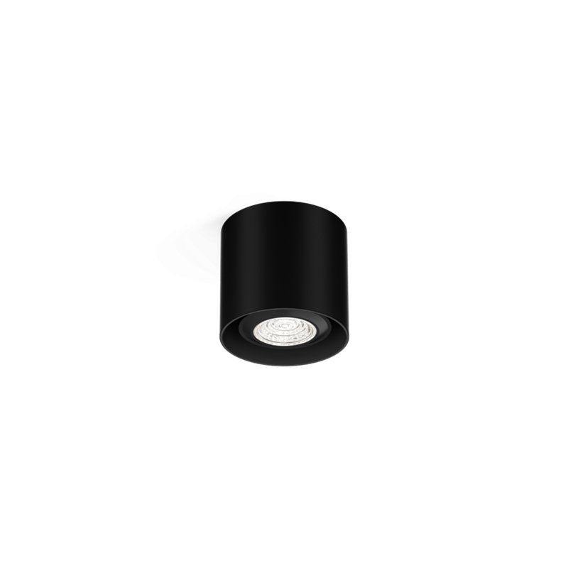 Wever & Ducré Ray Mini 1.0 PAR16 Ceiling lamp