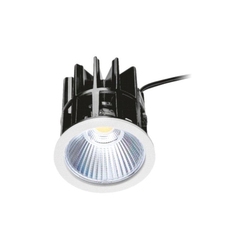 Wever & Ducré LED MODULE HO D50 12W CRI90 4000K 1420 lm WHITE