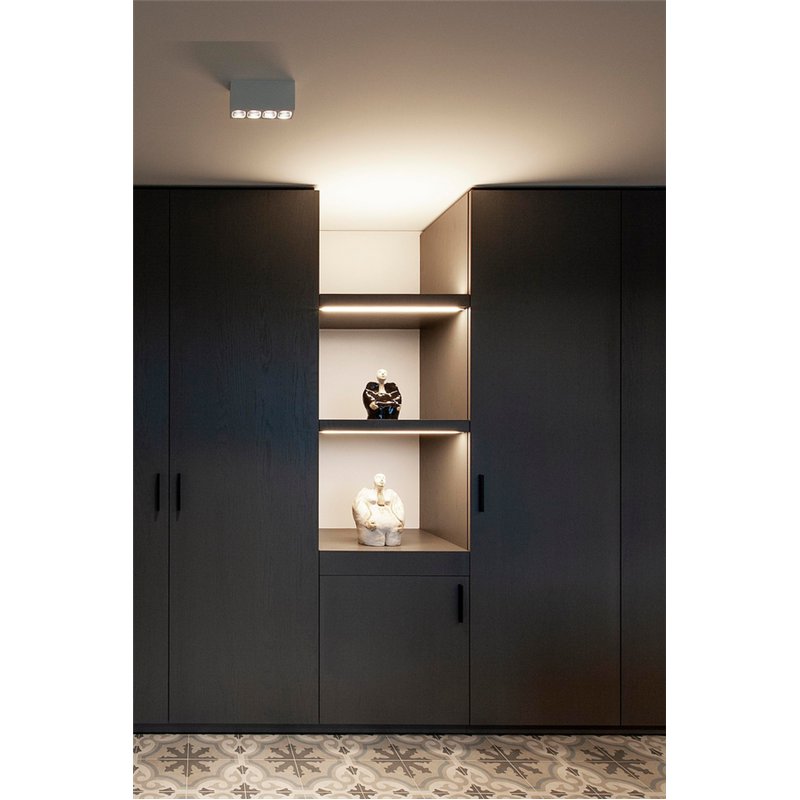 Wever & Ducré Pirro Spot Surface 4.0 Plafonnier