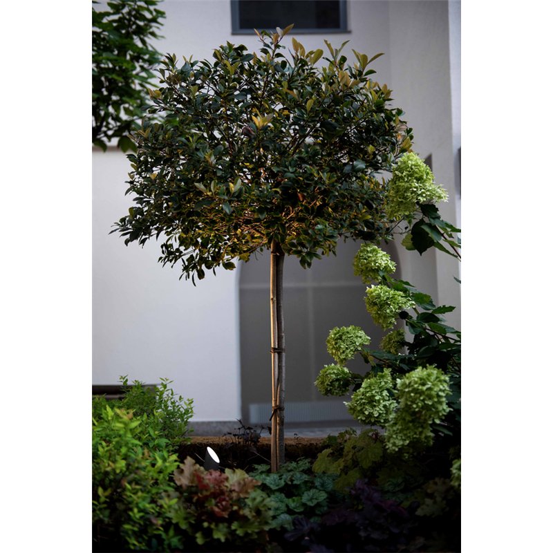 Wever & Ducré Stipo 4.0 Floor lamp