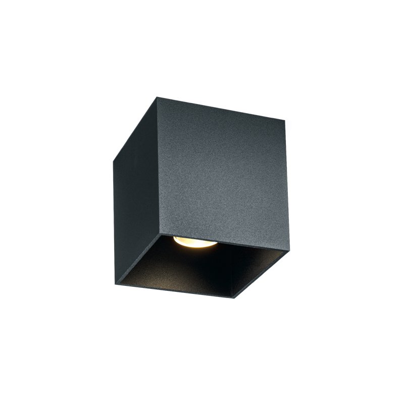 Wever & Ducré Box Outdoor 1.0 Plafondlamp