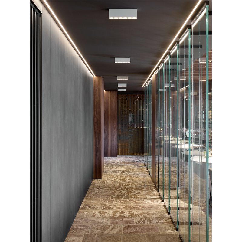 Wever & Ducré Pirro Petit Surface 12.0 Ceiling lamp