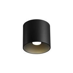 Wever & Ducré Ray 1.0 LED Ceiling lamp