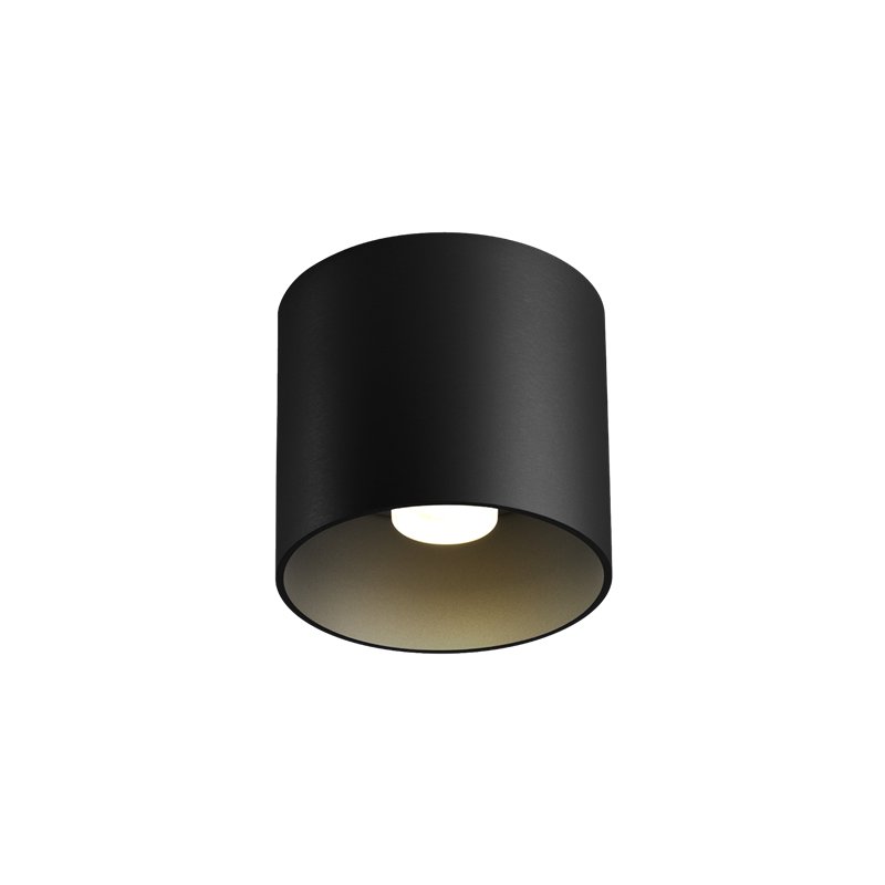 Wever & Ducré Ray 1.0 LED Deckenlampe