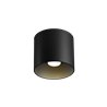 Wever & Ducré Ray 1.0 LED Ceiling lamp