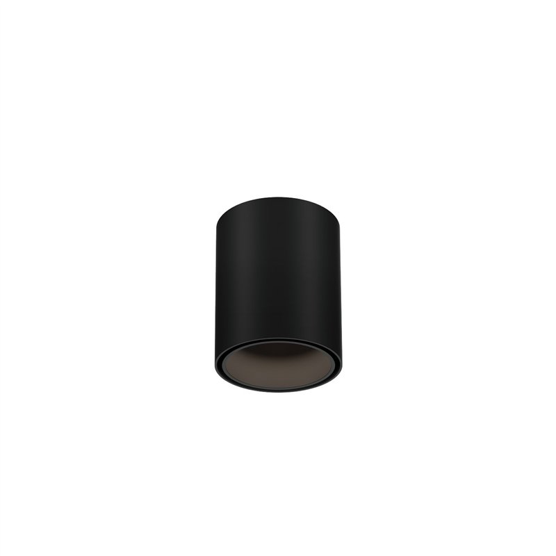 Wever & Ducré Ray Mini 1.0 LED Plafonnier