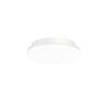 Wever & Ducré ROSS 1.0 Ceiling lamp