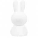 MrMaria Nijntje High Light LED lamp 80cm Vloerlamp