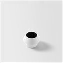 Modular Light Cone 44