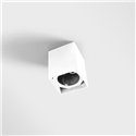 Modular Smart Box Surface 82 1x DI | Plafondlamp