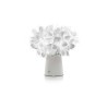 Slamp Clizia | Tischlampe