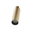 Flos C1 Mono Spot Ceiling Large Ø 35 | Plafondlamp