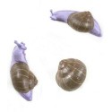 SELETTI Slak hanger 1 - slapend - kleur